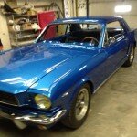Blue mustang